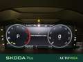 Skoda Kodiaq 2.0 tdi evo style dsg 7p.ti Grigio - thumbnail 10