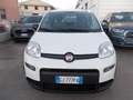 Fiat Panda 1.0 firefly hybrid City Cross Bianco - thumbnail 2