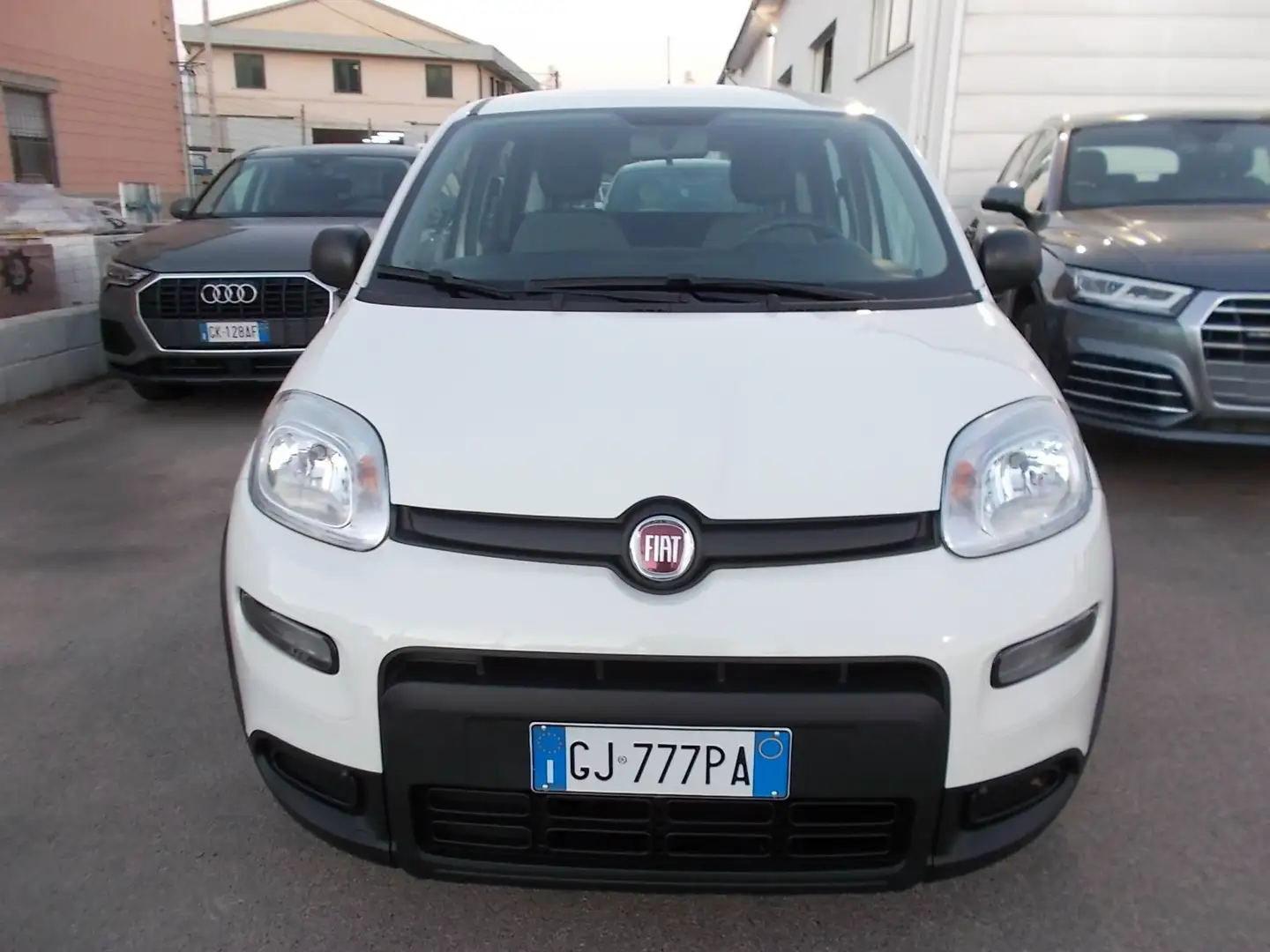 Fiat Panda 1.0 firefly hybrid City Cross Bianco - 2