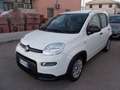 Fiat Panda 1.0 firefly hybrid City Cross Bianco - thumbnail 1