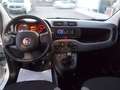 Fiat Panda 1.0 firefly hybrid City Cross Bianco - thumbnail 8