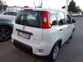 Fiat Panda 1.0 firefly hybrid City Cross Bianco - thumbnail 4
