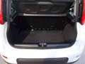 Fiat Panda 1.0 firefly hybrid City Cross Bianco - thumbnail 14