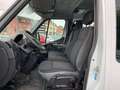 Opel Movano L2H2 DK Kasten*7-Sitzer,Mwst.,AHZV,Nr.36 Білий - thumbnail 10