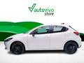 Mazda 2 HOMURA 1.5 E-SKYACTIV-G 90 CV 5P Blanco - thumbnail 3
