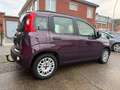 Fiat Panda 1200 Essence / Airco / Capteurs / Attache remorque Mauve - thumbnail 7