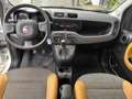 Fiat Panda 0.9 TwinAir Turbo S&S 4x4 Blanc - thumbnail 10