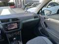 Volkswagen Tiguan 2,0 TDI 4Motion Life DSG / AHK / STHZ / RFK / K... Grau - thumbnail 34