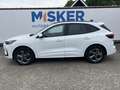 Ford Kuga 2.5 PHEV ST-Line 243PK TECHPACK! PANODAK! Wit - thumbnail 7