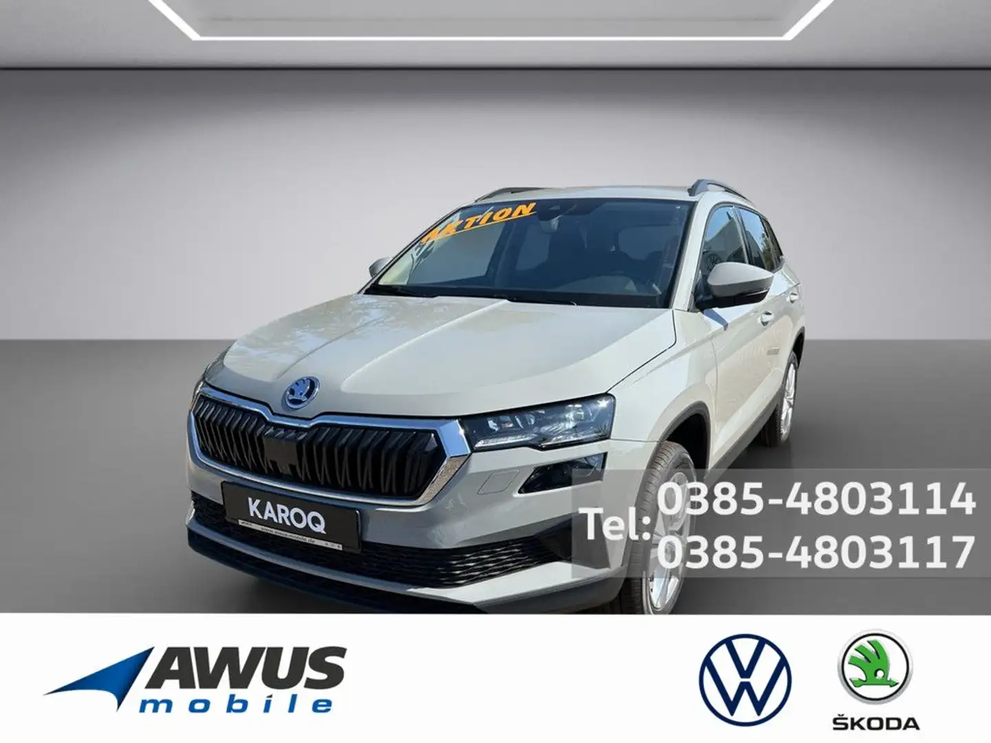 Skoda Karoq 1.5TSI DSG Selection AHK NAVI,ACC,KESSY Grau - 1