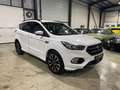 Ford Kuga 1.5 TDCi 120 ch BVM ST-LINE Wit - thumbnail 5