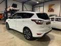 Ford Kuga 1.5 TDCi 120 ch BVM ST-LINE Wit - thumbnail 8