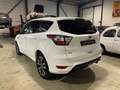 Ford Kuga 1.5 TDCi 120 ch BVM ST-LINE Wit - thumbnail 9