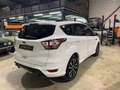 Ford Kuga 1.5 TDCi 120 ch BVM ST-LINE Wit - thumbnail 10