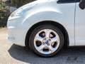Ford B-Max 1.4 90CV GPL DELLA CASA (SCAD. 2033) Weiß - thumbnail 14