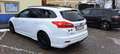 Ford Focus Traveller 1,0 EcoBoost ST-Line Weiß - thumbnail 3