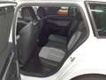 Skoda Octavia Combi Selection 1.5 eTSI AHK/Standhzg Weiß - thumbnail 7
