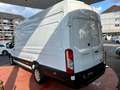 Ford Transit Kasten 350 L4 H3 Trend RWD 1. Hand Blanco - thumbnail 4