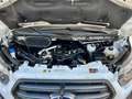 Ford Transit Kasten 350 L4 H3 Trend RWD 1. Hand Blanco - thumbnail 41