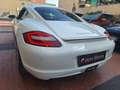 Porsche Cayman 3.4 S Bianco - thumbnail 5