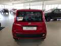 Fiat Panda 1.0 FireFly S&S Hybrid MY25 Rosso - thumbnail 5