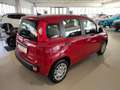 Fiat Panda 1.0 FireFly S&S Hybrid MY25 Rosso - thumbnail 4