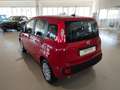 Fiat Panda 1.0 FireFly S&S Hybrid MY25 Rosso - thumbnail 6