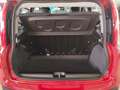 Fiat Panda 1.0 FireFly S&S Hybrid MY25 Rosso - thumbnail 7
