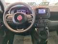 Fiat Panda 1.0 FireFly S&S Hybrid MY25 Rosso - thumbnail 11