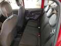 Fiat Panda 1.0 FireFly S&S Hybrid MY25 Rosso - thumbnail 9