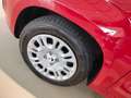 Fiat Panda 1.0 FireFly S&S Hybrid MY25 Rosso - thumbnail 15