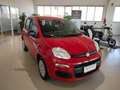 Fiat Panda 1.0 FireFly S&S Hybrid MY25 Rosso - thumbnail 3