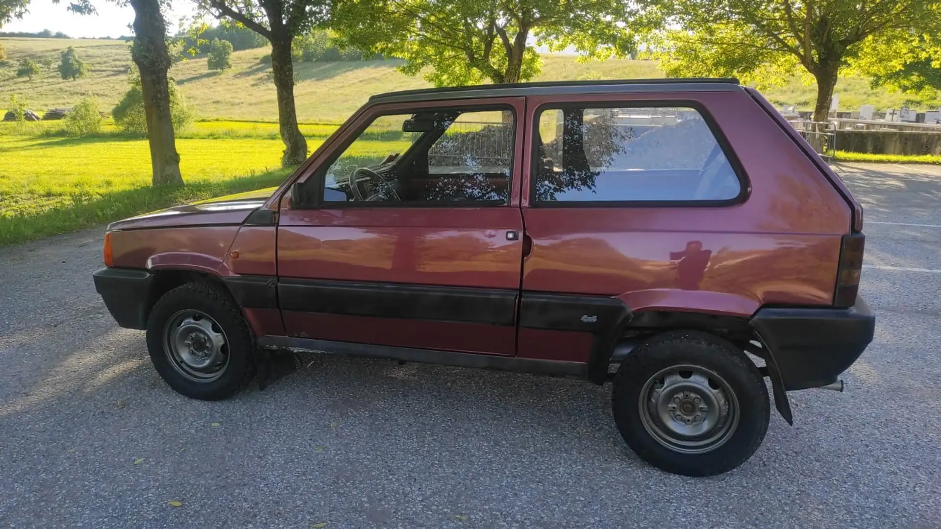 Fiat Panda 1.1 Fire Trekking 4x4 cat. - 1