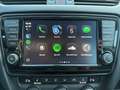 Skoda Octavia 2.0 TDI Ambition Grau - thumbnail 19