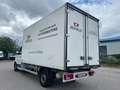 MAN TGE 3140 Tiefkühl / Kühl Koffer *EINZELSTÜCK* Weiß - thumbnail 3