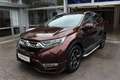 Honda CR-V 2,0 i-MMD Hybrid Executive AWD Aut. Braun - thumbnail 2