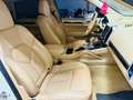 Porsche Cayenne Cayenne 3.0 V6 tdi tiptronic*AUTOMATICA* Bianco - thumbnail 11