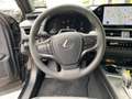 Lexus UX 300h F Sport Design zuverlässiger Crossover Schwarz - thumbnail 13