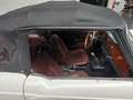 Triumph TR6 met overdrive Wit - thumbnail 6