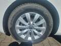 Volkswagen Beetle R-Line Bi-Xenon Leder Alu SHZ PDC FSE Blanco - thumbnail 22