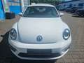 Volkswagen Beetle R-Line Bi-Xenon Leder Alu SHZ PDC FSE Blanco - thumbnail 8