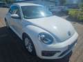 Volkswagen Beetle R-Line Bi-Xenon Leder Alu SHZ PDC FSE Blanco - thumbnail 7