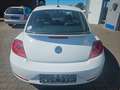 Volkswagen Beetle R-Line Bi-Xenon Leder Alu SHZ PDC FSE Blanco - thumbnail 4