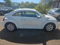 Volkswagen Beetle R-Line Bi-Xenon Leder Alu SHZ PDC FSE Blanco - thumbnail 6