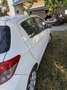 Toyota Yaris Yaris 1,0 VVT-i Young Young Weiß - thumbnail 6