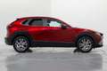 Mazda CX-30 2.0 Skyactiv-G Evolution 2WD 90kW Rojo - thumbnail 7