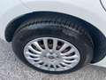 Fiat Punto 1.3 MJT II S&S 95 CV 5 porte Street Blanc - thumbnail 11