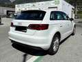 Audi A3 Audi A3 Sportback 1.6 TDI (110 PS) Weiß - thumbnail 4