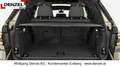 BMW X7 xDrive40d G07 B57 Grau - thumbnail 9