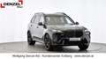 BMW X7 xDrive40d G07 B57 Grau - thumbnail 7
